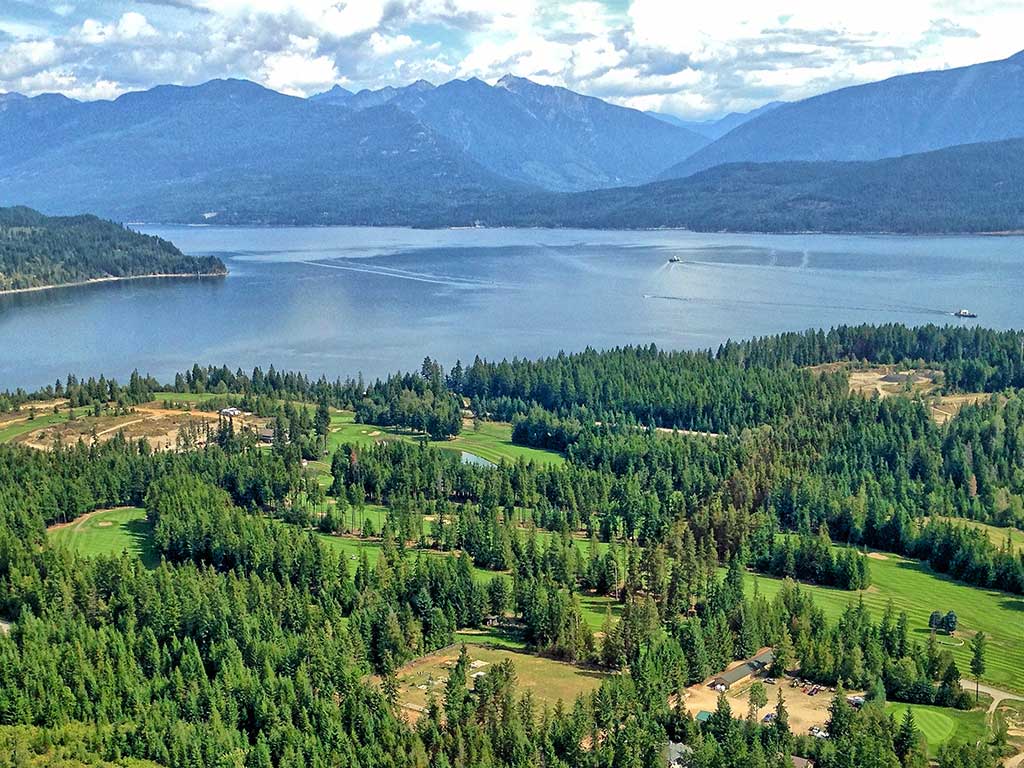 Balfour & District Business and Historic Assoc. International Selkirk