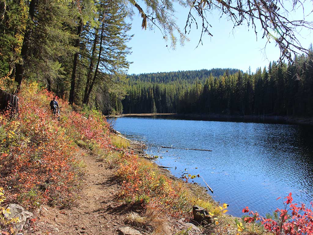 Champion Lakes Provincial Park International Selkirk Loop
